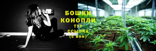 гидра Дмитров