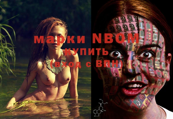 гидра Дмитров