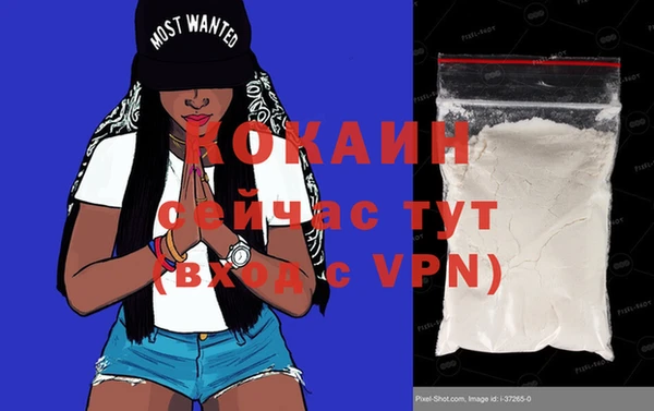 ешки Ельня
